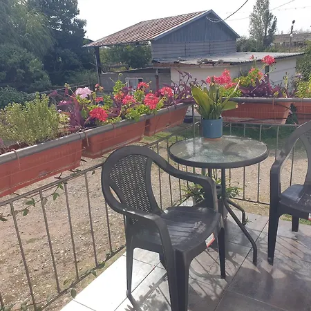 Lina Gio كارلوفو